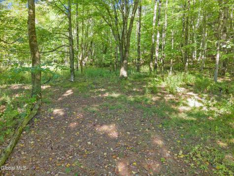 986 Smokey Avenue Schenevus NY 12155