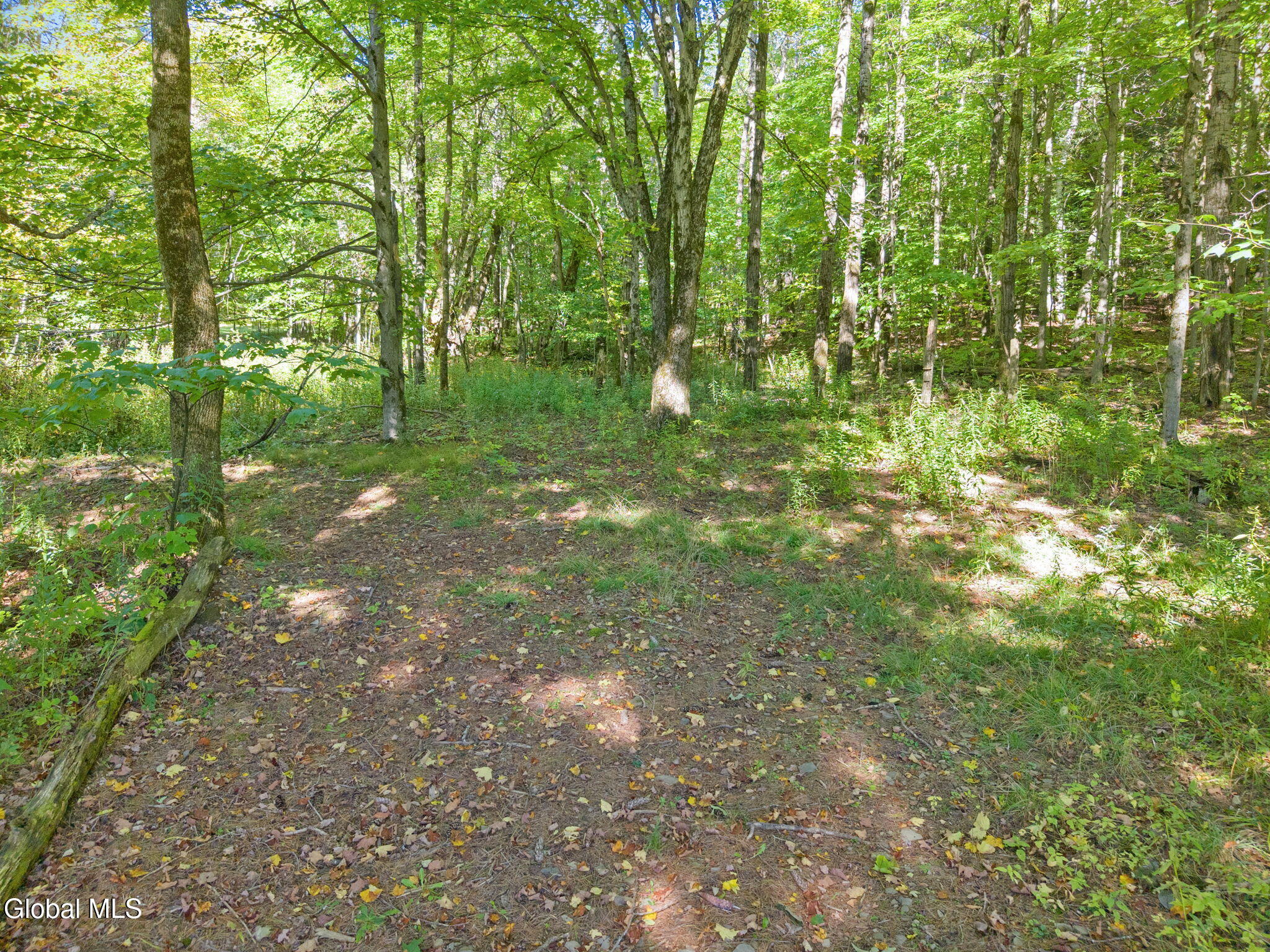 986 Smokey Avenue Schenevus NY 12155