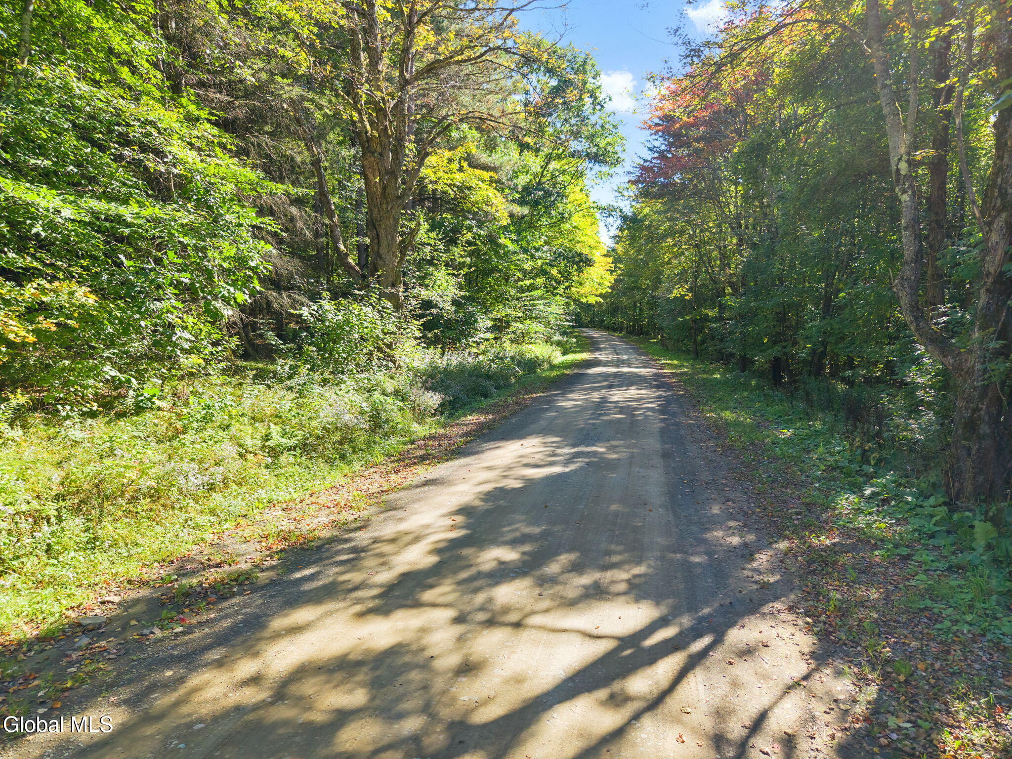 986 Smokey Avenue Schenevus NY 12155