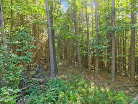 986 Smokey Avenue Schenevus NY 12155