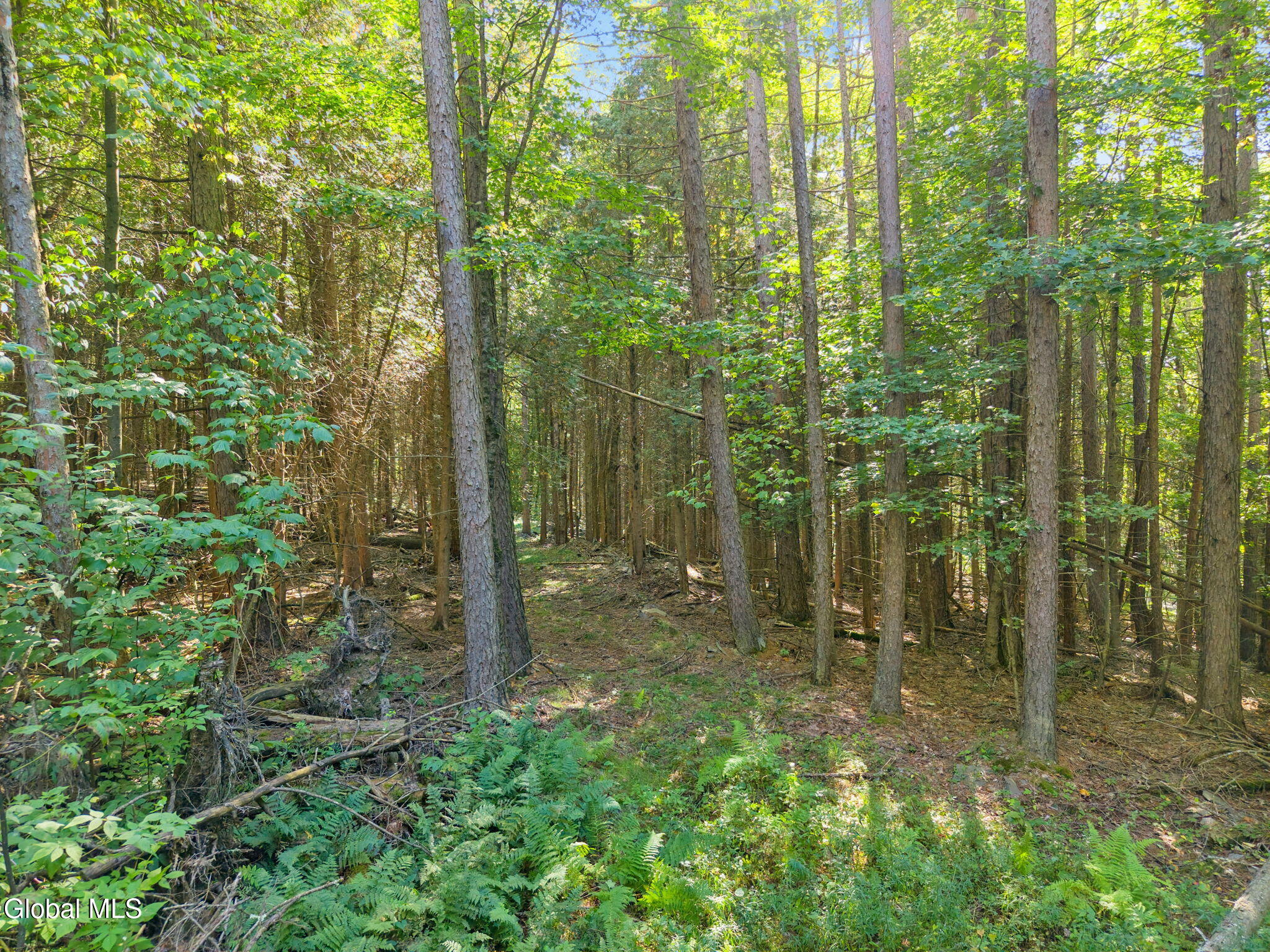 986 Smokey Avenue Schenevus NY 12155