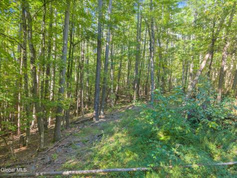 986 Smokey Avenue Schenevus NY 12155
