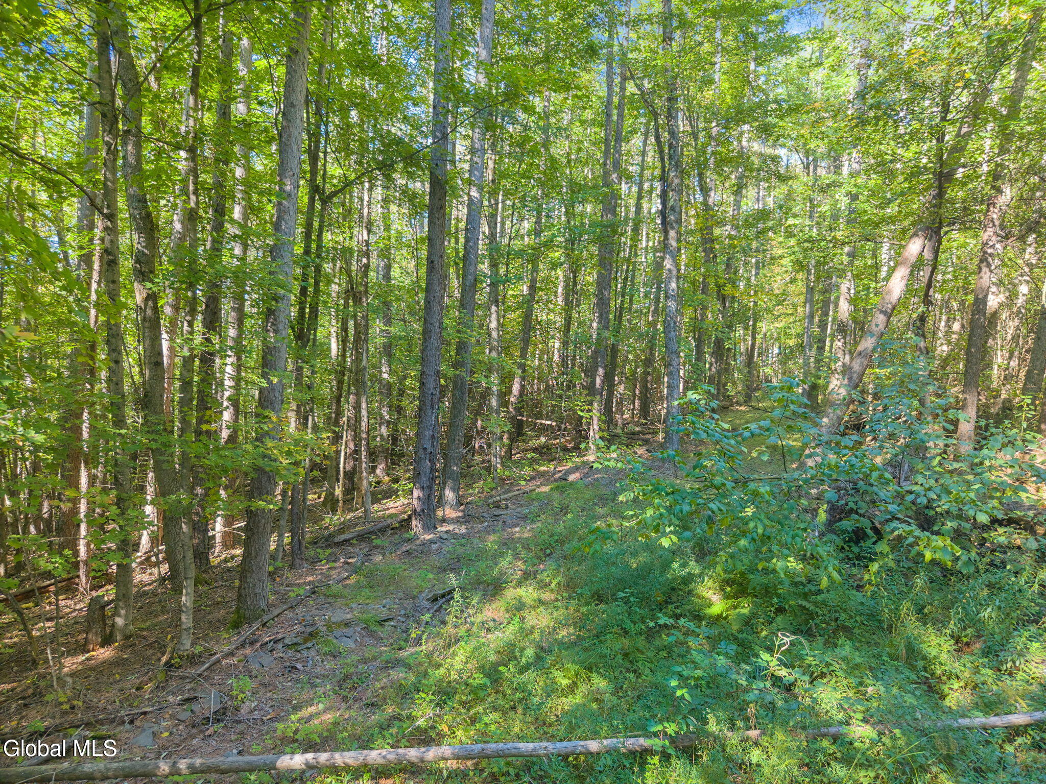 986 Smokey Avenue Schenevus NY 12155