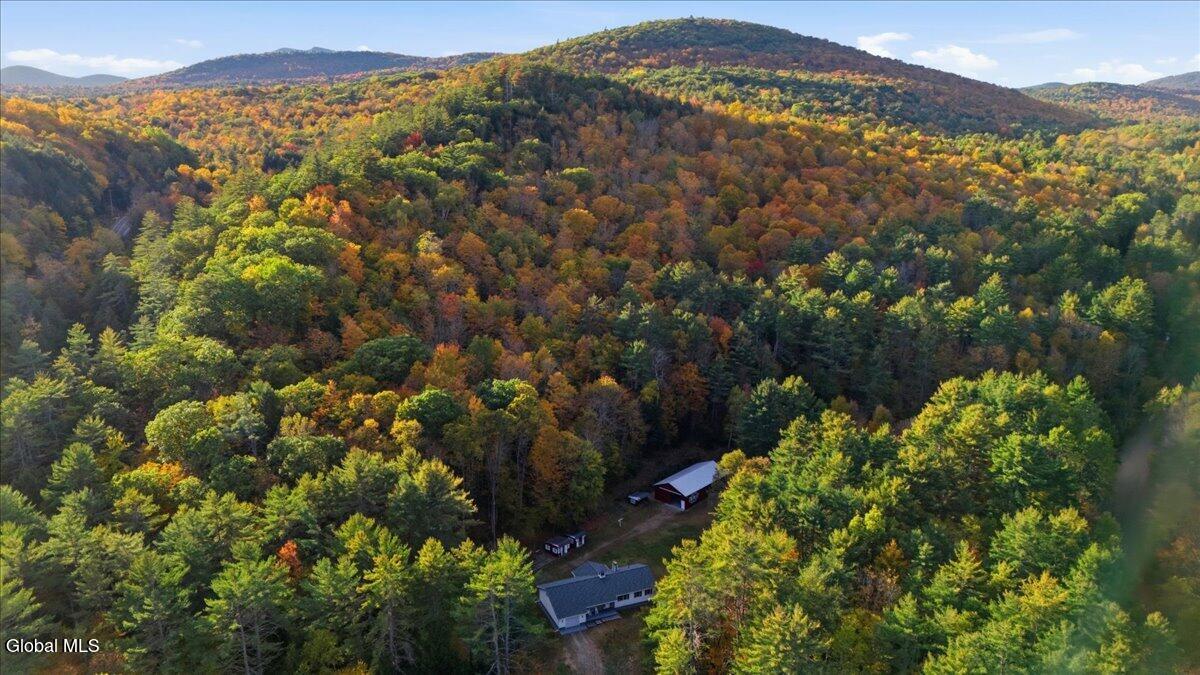 65 Dippikill Road Warrensburg NY 12885