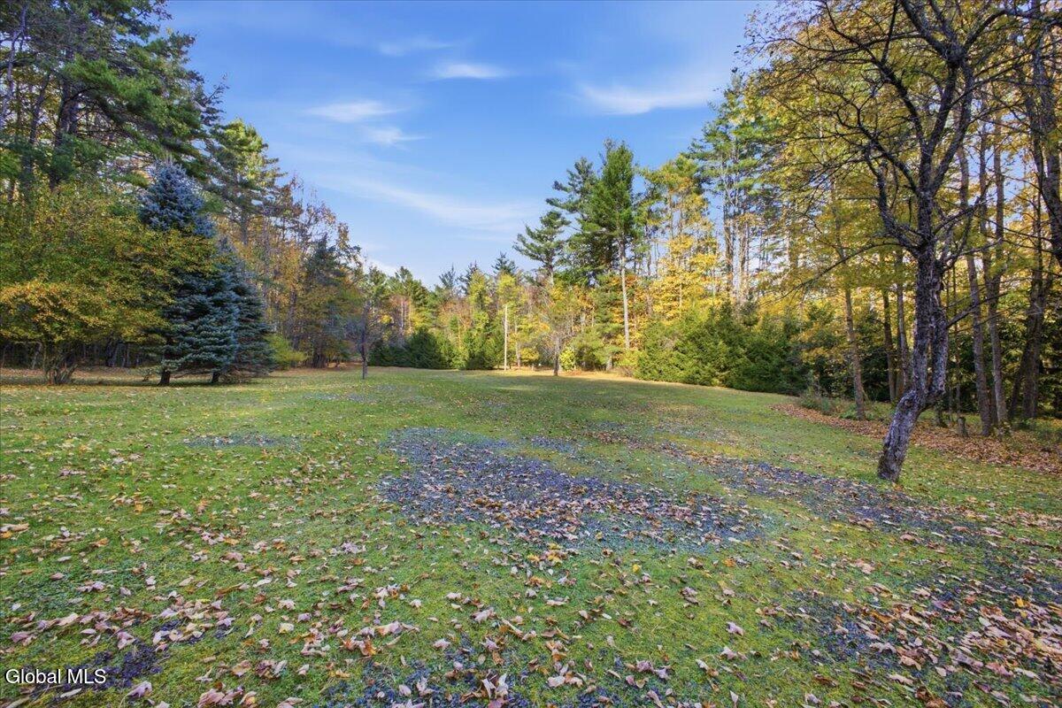 65 Dippikill Road Warrensburg NY 12885