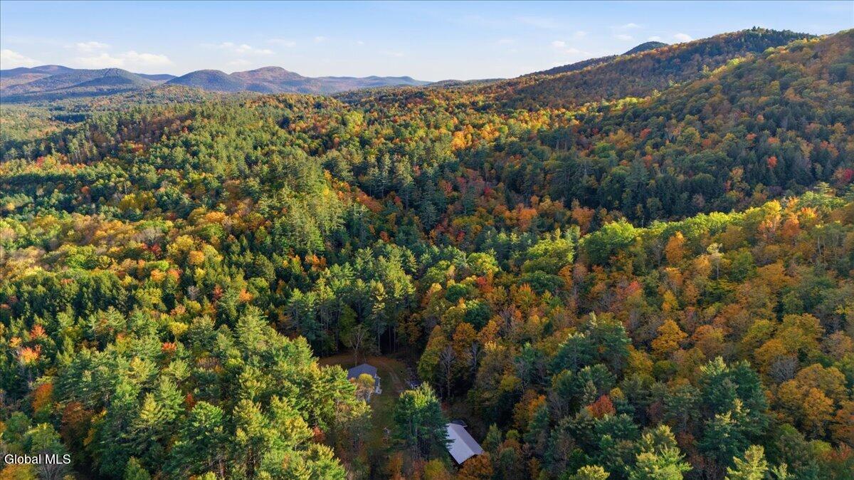65 Dippikill Road Warrensburg NY 12885