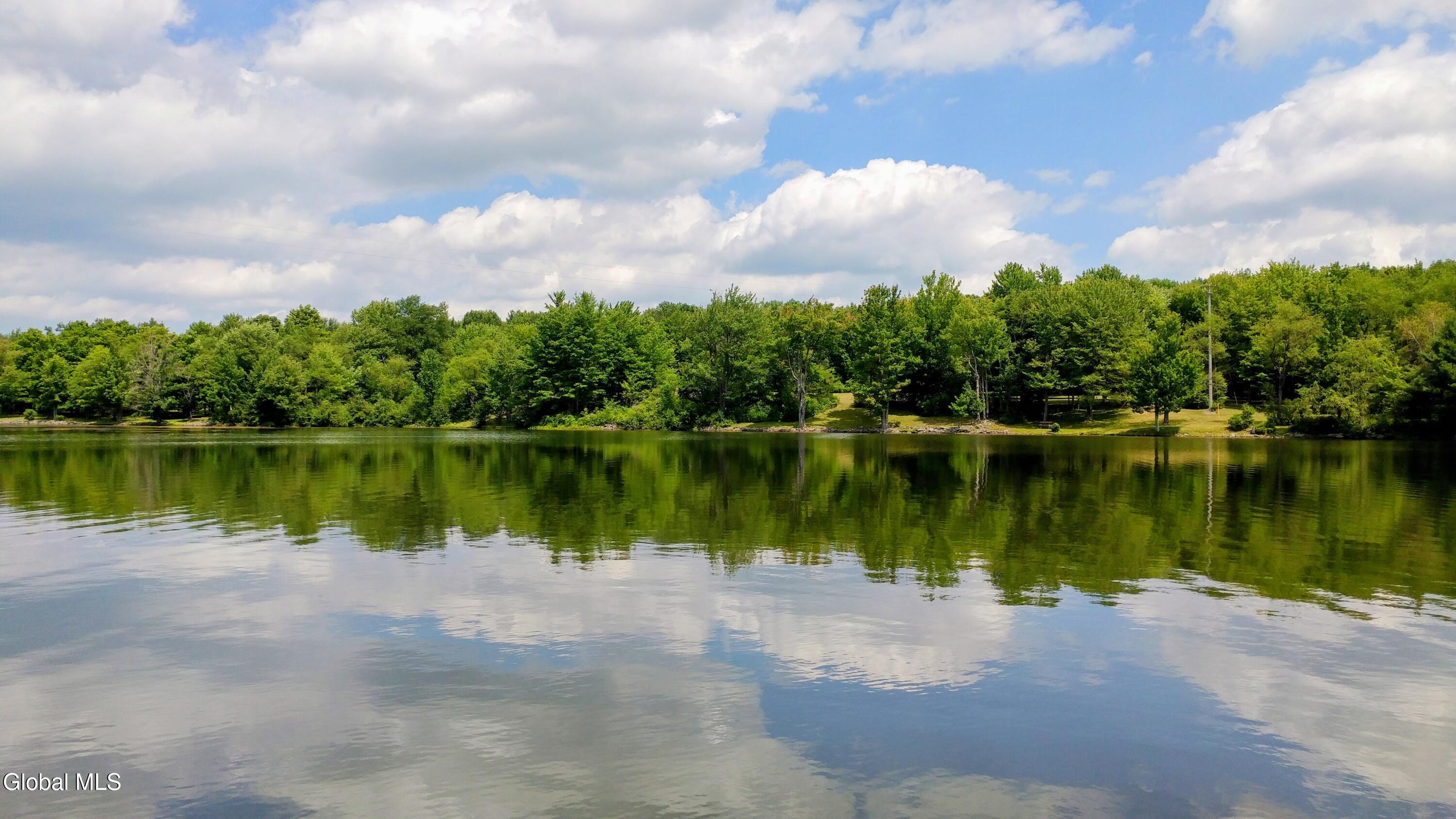 783 Woodstock Road East Berne NY 12059