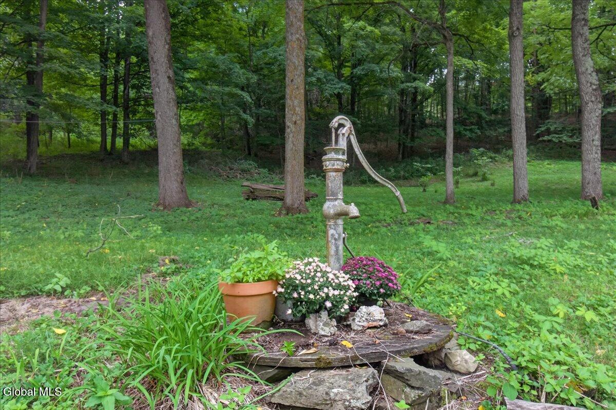 254 Juniper Swamp Road Shushan NY 12873