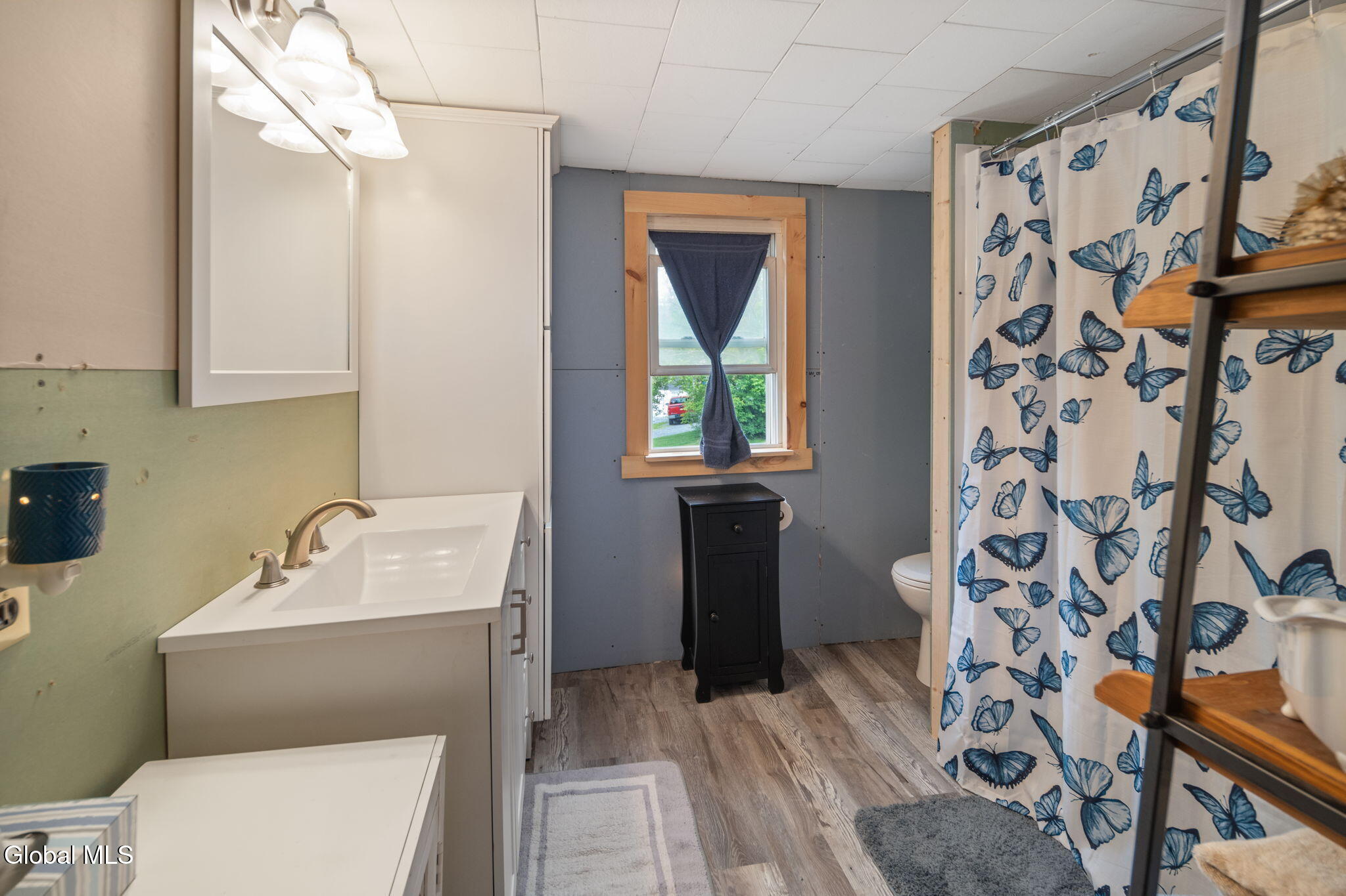 670 Mineral Springs Road Cobleskill NY 12043