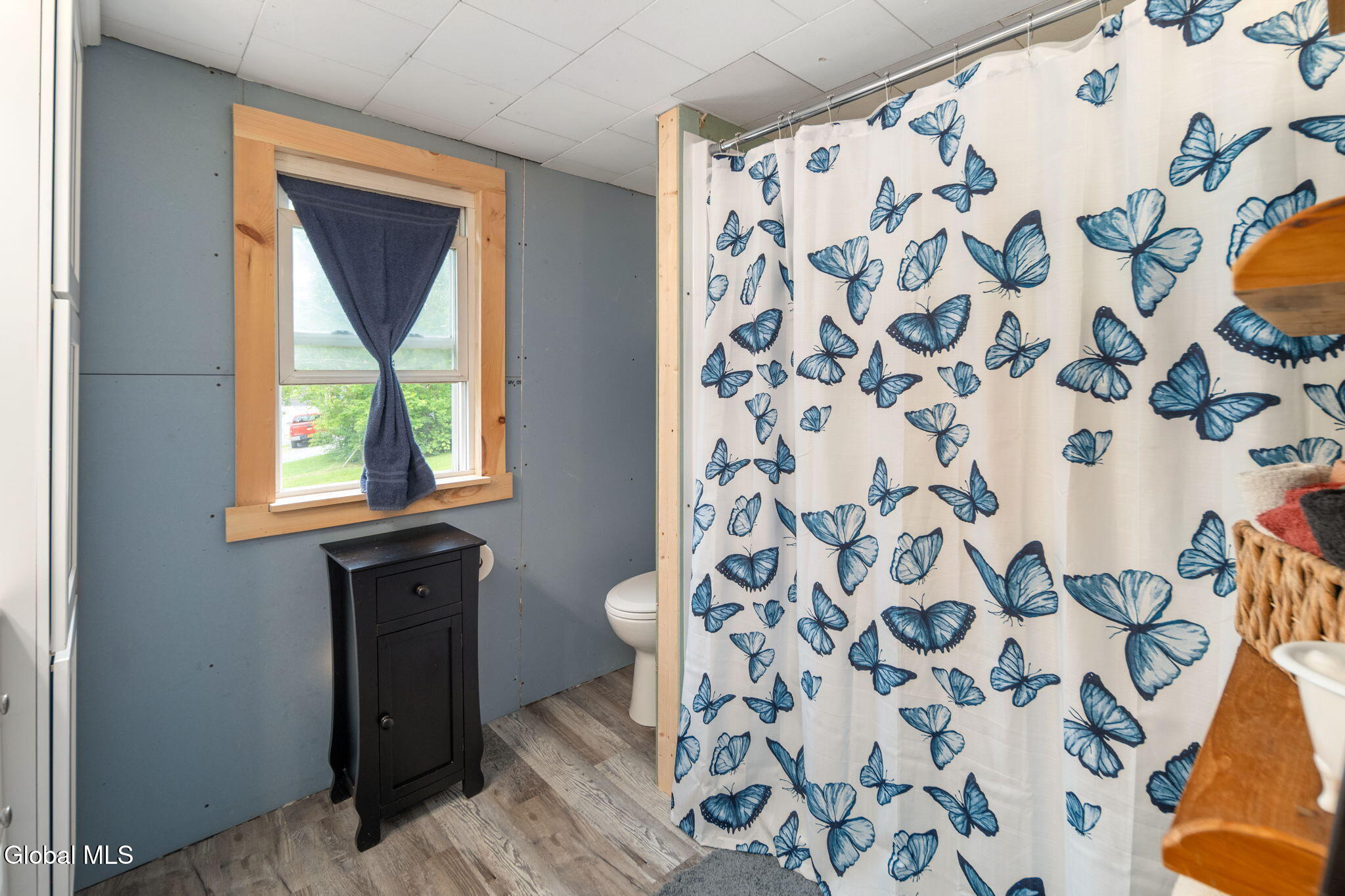 670 Mineral Springs Road Cobleskill NY 12043