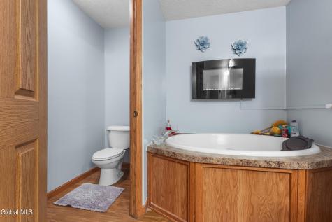 319 Tower Road Warnerville NY 12187