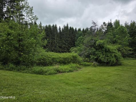 319 Tower Road Warnerville NY 12187