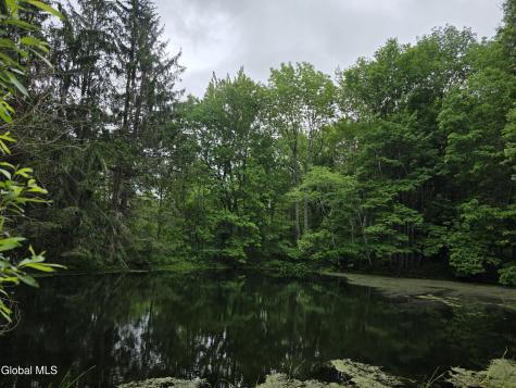 319 Tower Road Warnerville NY 12187