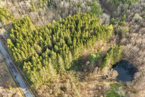 319 Tower Road Warnerville NY 12187