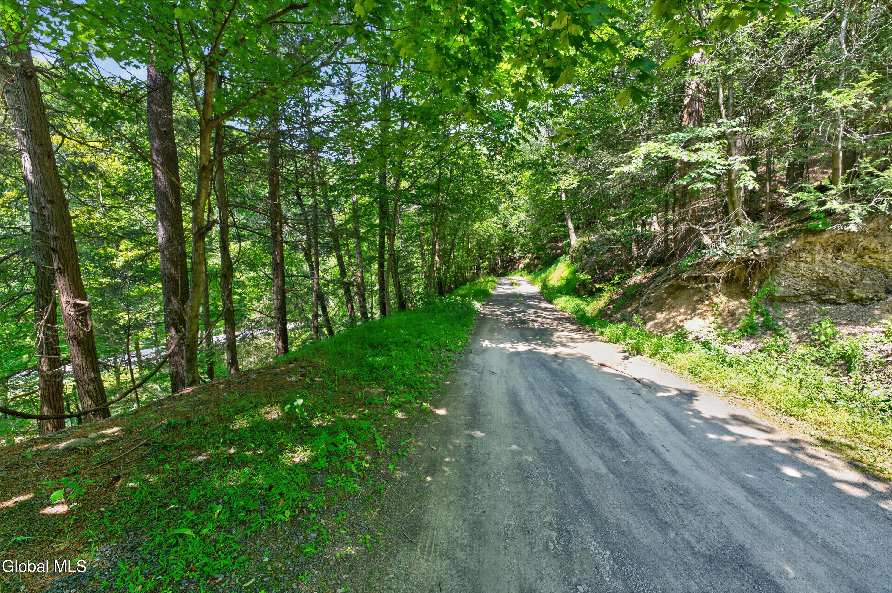 178 Blodgett Hill Road Coeymans Hollow NY 12046