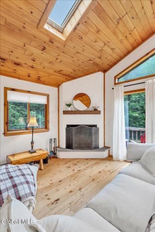 307 Bobillen Drive Jewett NY 12444