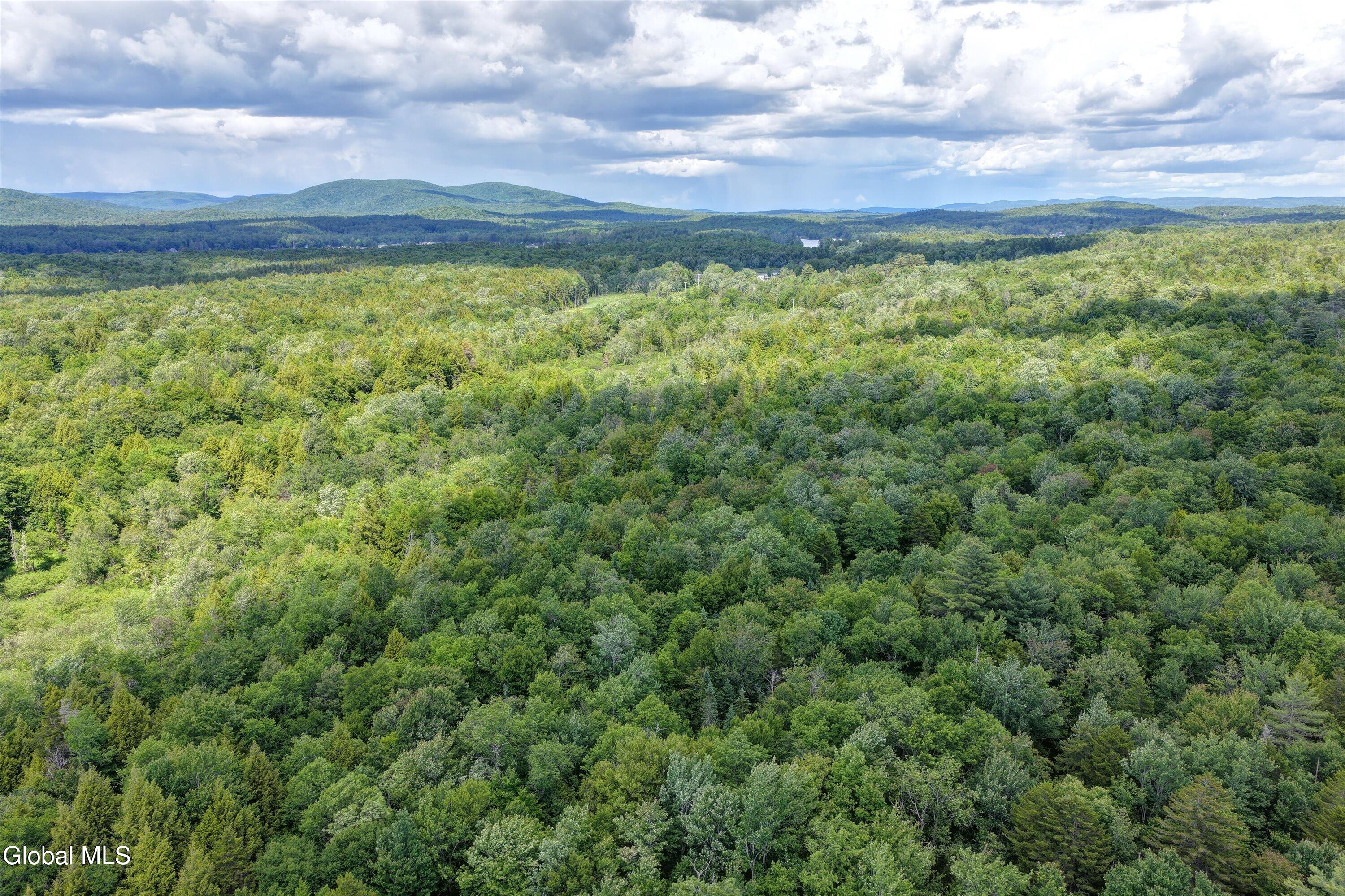 L13 Newkirks Lake Road Caroga NY 12032