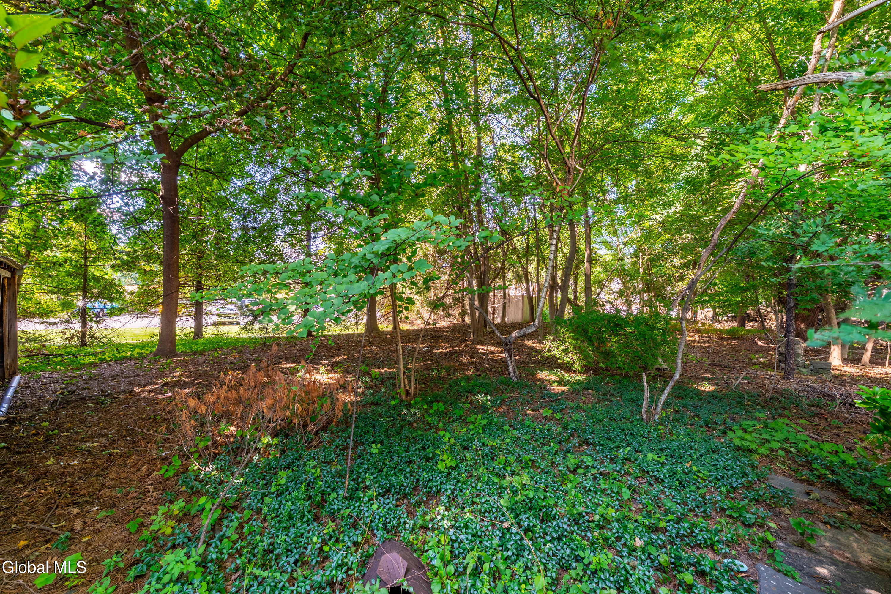459 Delaware Delmar NY 12054