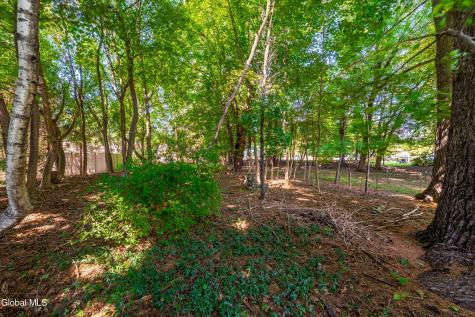 459 Delaware Delmar NY 12054
