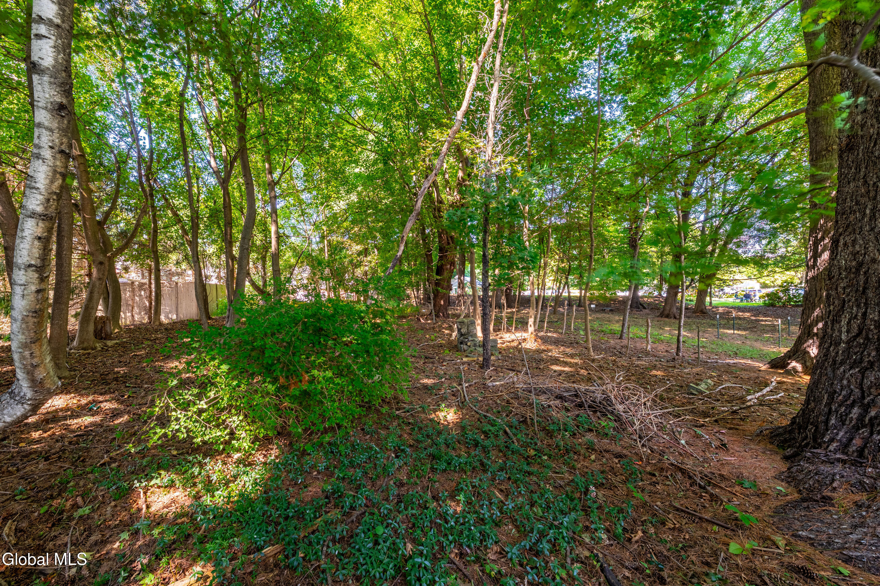 459 Delaware Delmar NY 12054