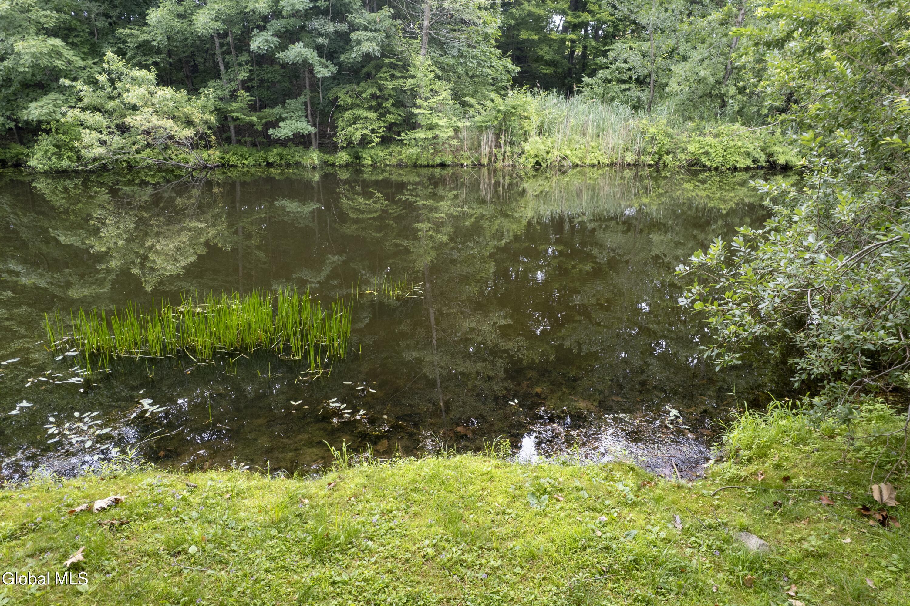 3 Tyler Drive East Greenbush NY 12061