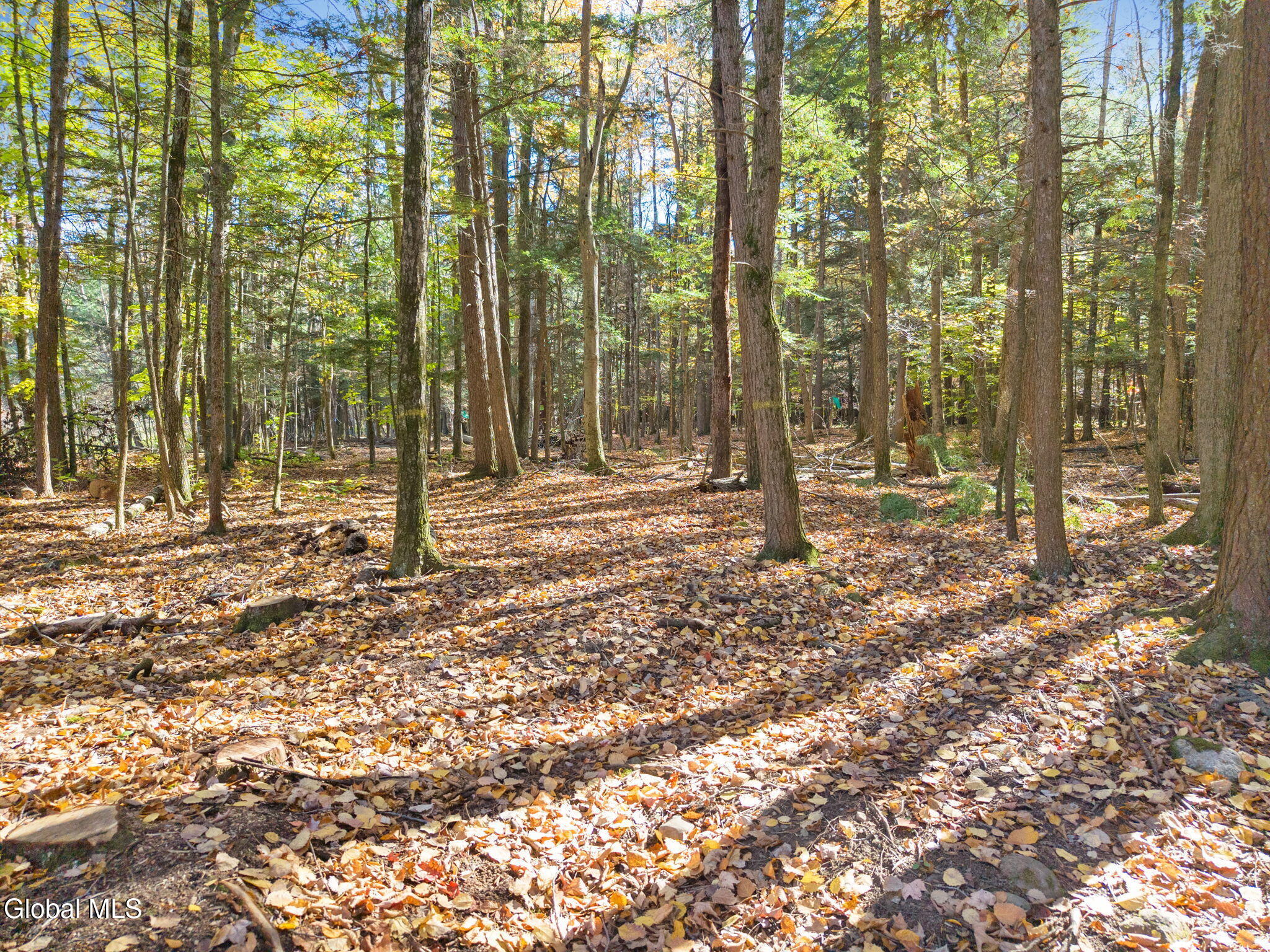 526 Shun Pike Sloansville NY 12160