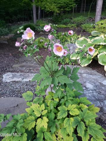 220 Stanton Road Coeymans Hollow NY 12046
