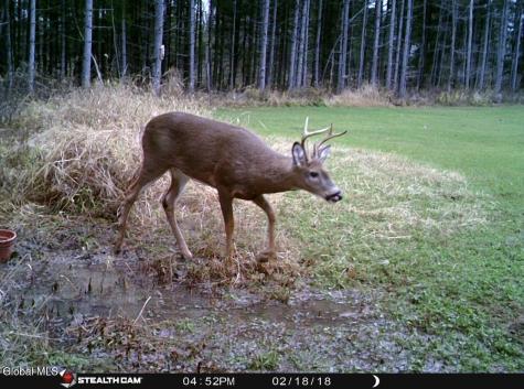 1200 Alexander Road Delanson NY 12053