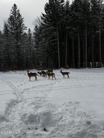 1200 Alexander Road Delanson NY 12053