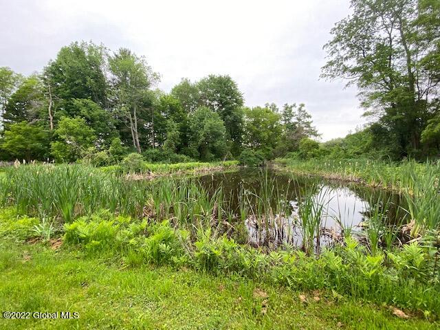 19 Center White Creek Lane White Creek NY 12057