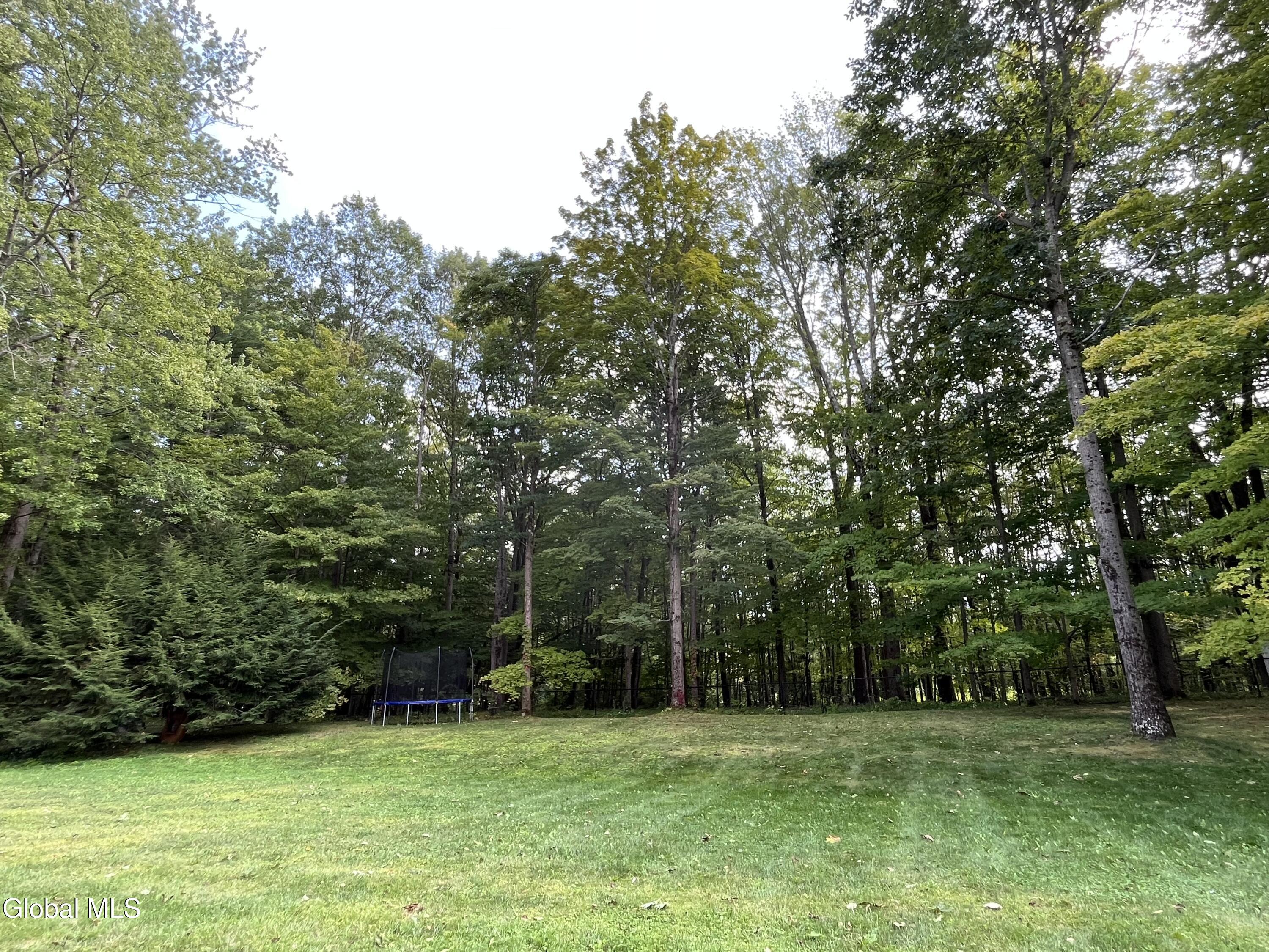 34 Guilder Place Ballston Lake NY 12019