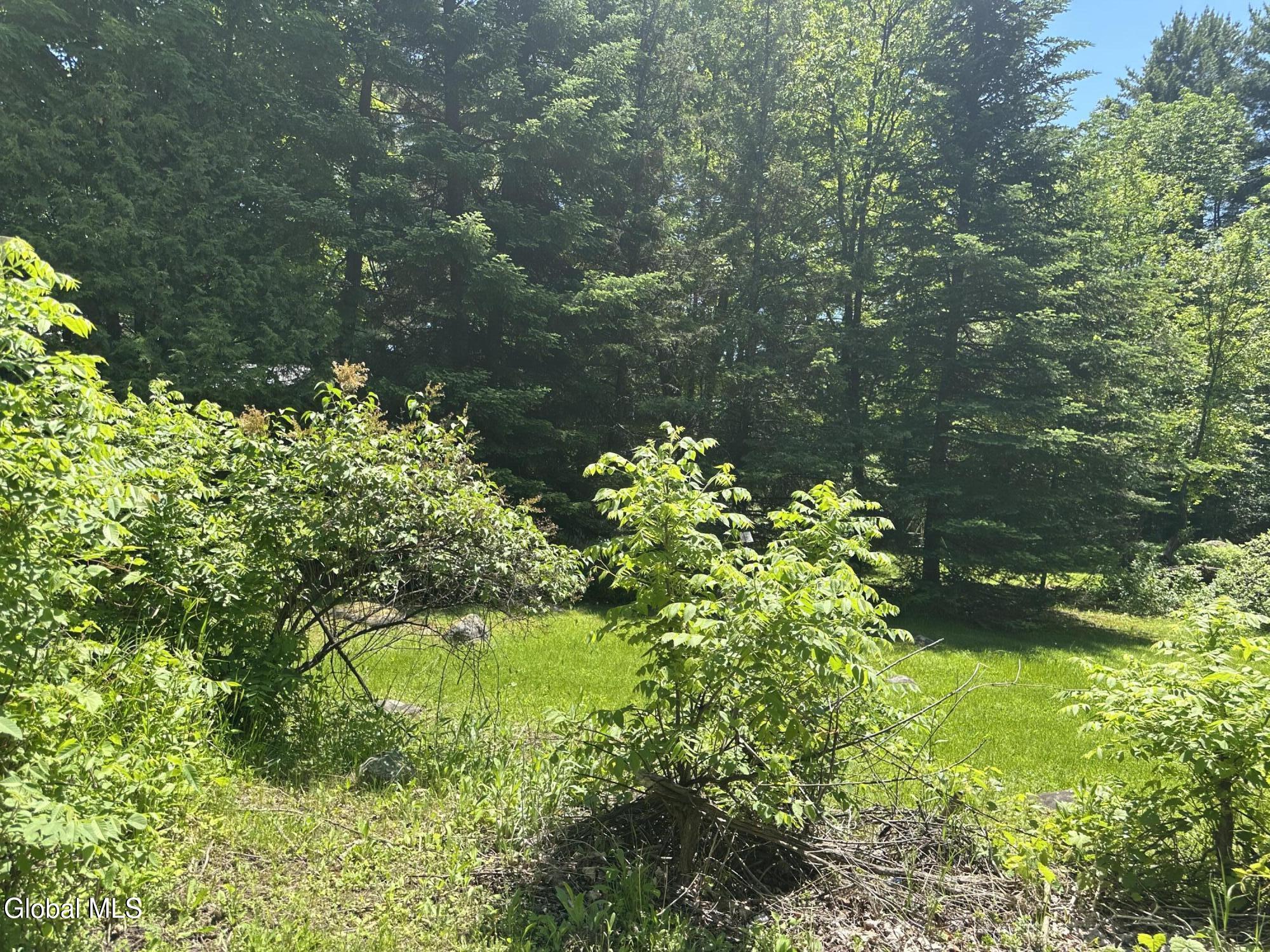 3053 Plank Road Mineville NY 12956
