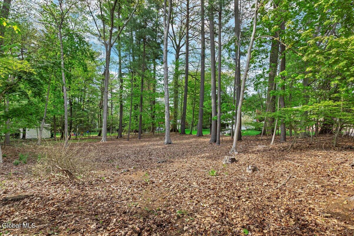 178 Westchester Drive S. Delmar NY 12054