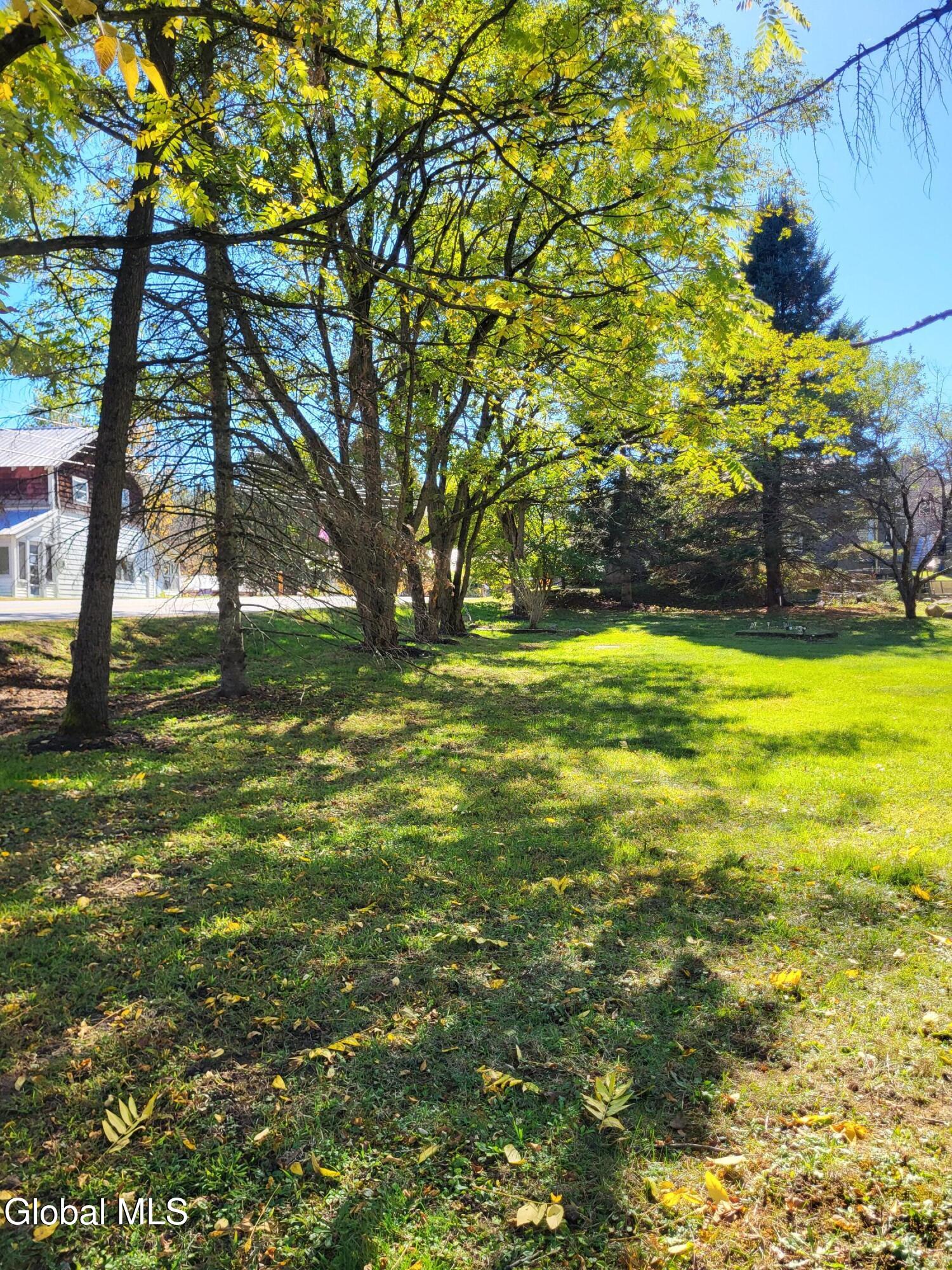 29 Hadley Road Stony Creek NY 12878