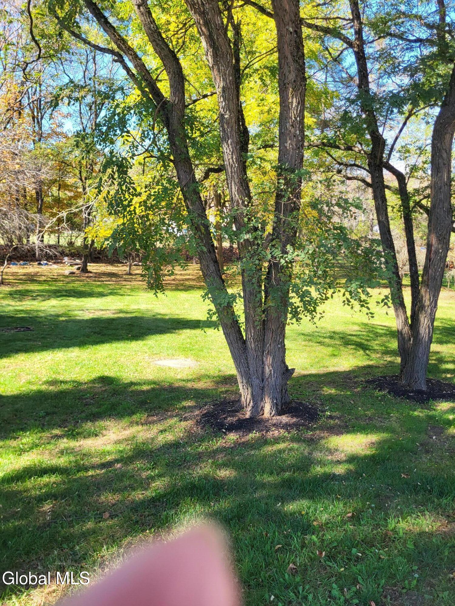 29 Hadley Road Stony Creek NY 12878