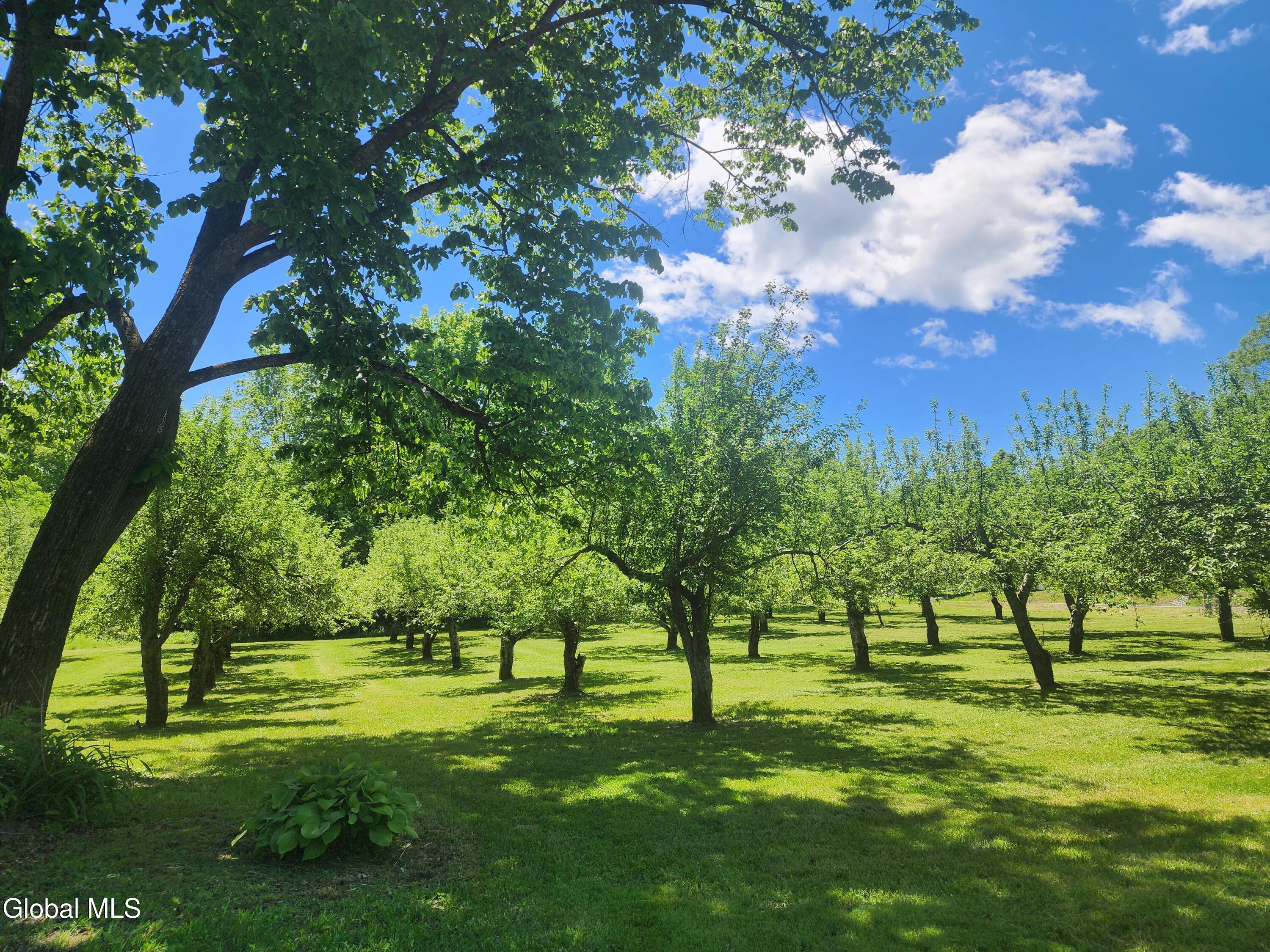 196 County Highway 123 Mayfield NY 12117