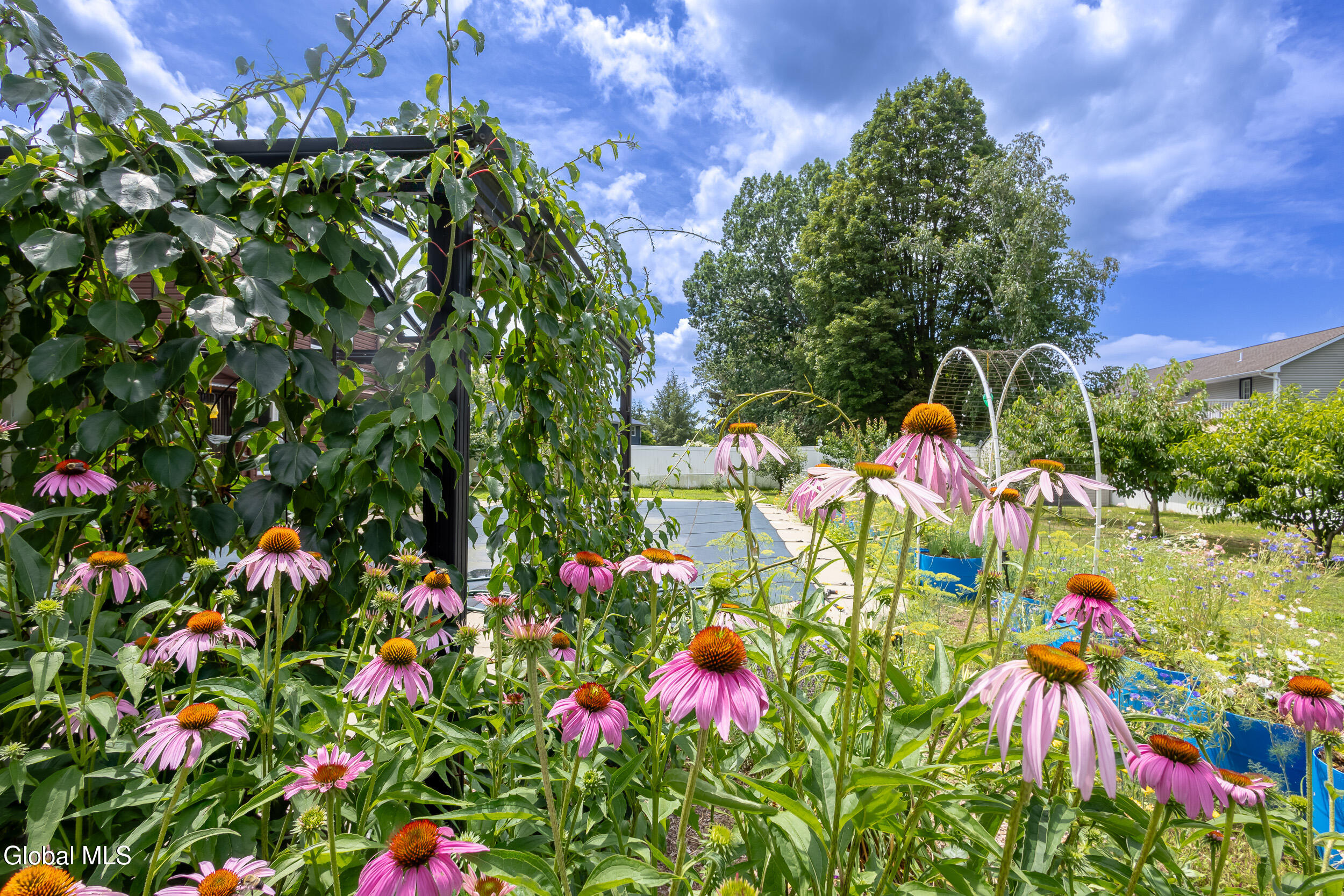 55 Alpine Drive Latham NY 12110