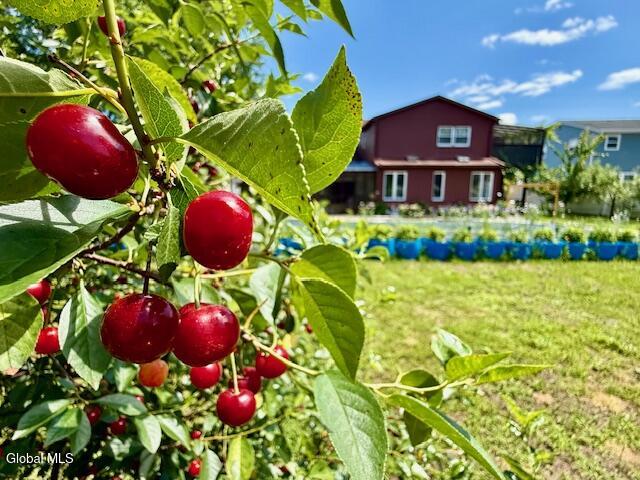 55 Alpine Drive Latham NY 12110