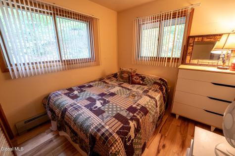 188 S Shore Road Lake Pleasant NY 12108