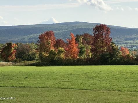 1232 Barton Hill Road Delanson NY 12053