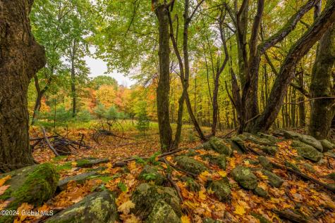 1013-1017 Plank Road Averill Park NY 12018