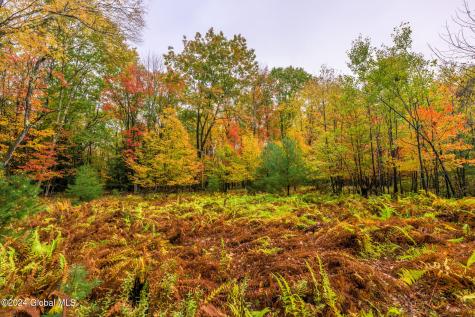 1013-1017 Plank Road Averill Park NY 12018