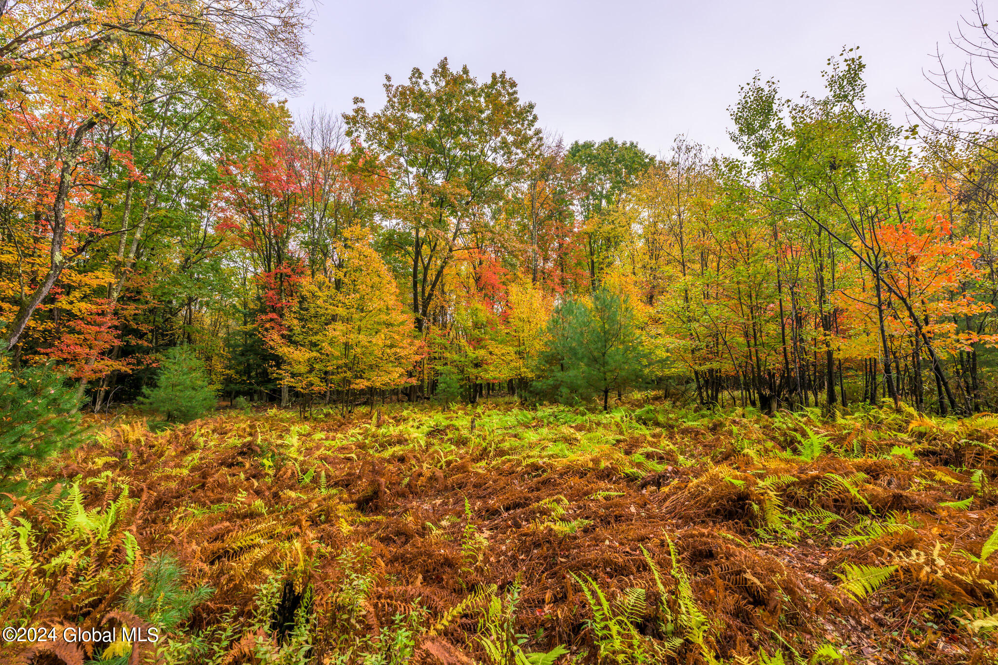 1013-1017 Plank Road Averill Park NY 12018