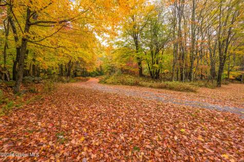 1013-1017 Plank Road Averill Park NY 12018