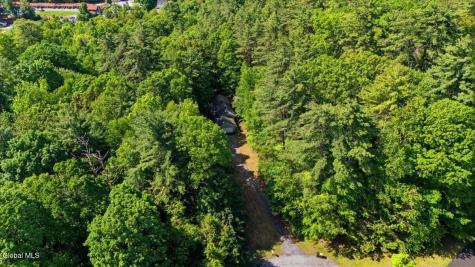 54 Carriage Hill Road Diamond Point NY 12824