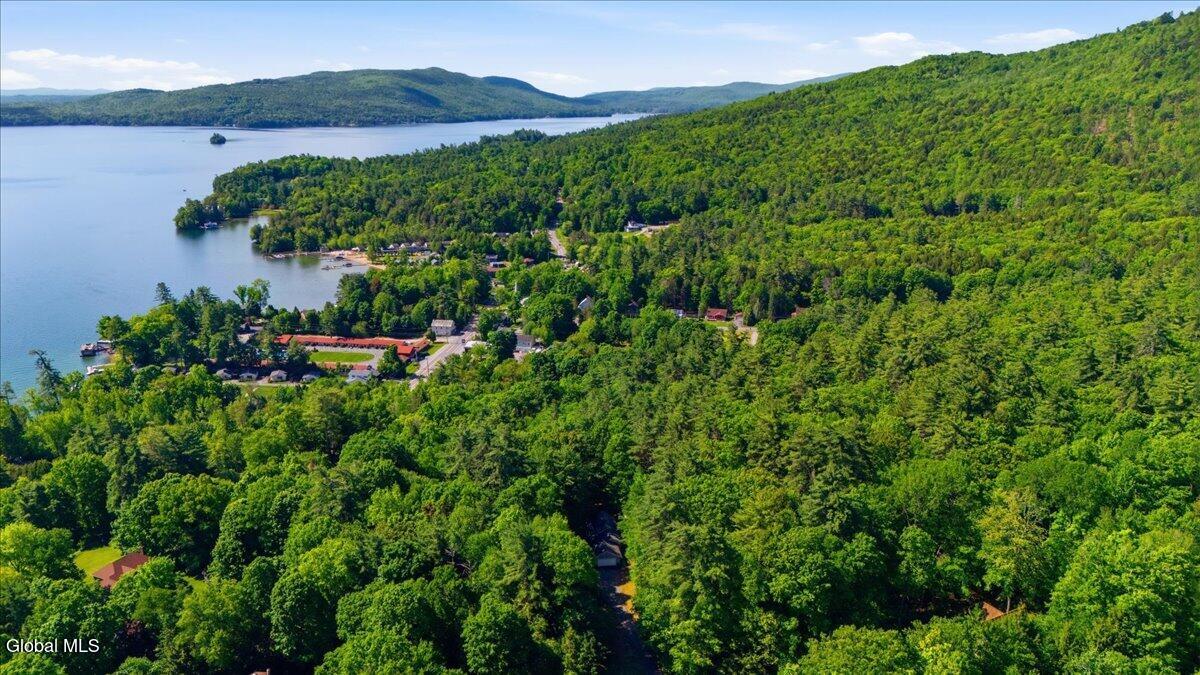 54 Carriage Hill Road Diamond Point NY 12824