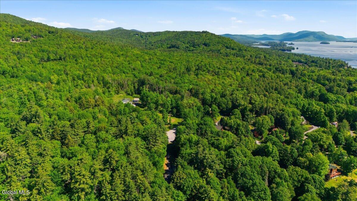 54 Carriage Hill Road Diamond Point NY 12824