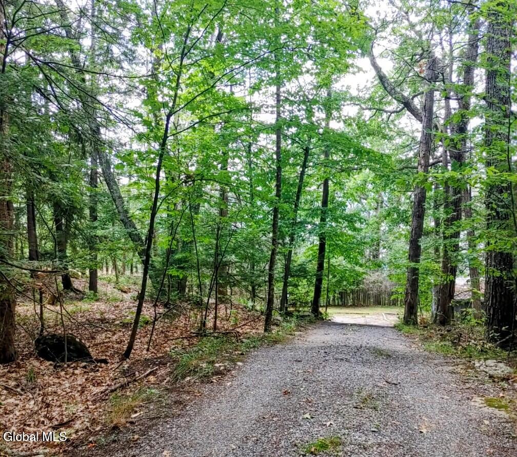 5269 Sagamore Road Putnam Station NY 12861
