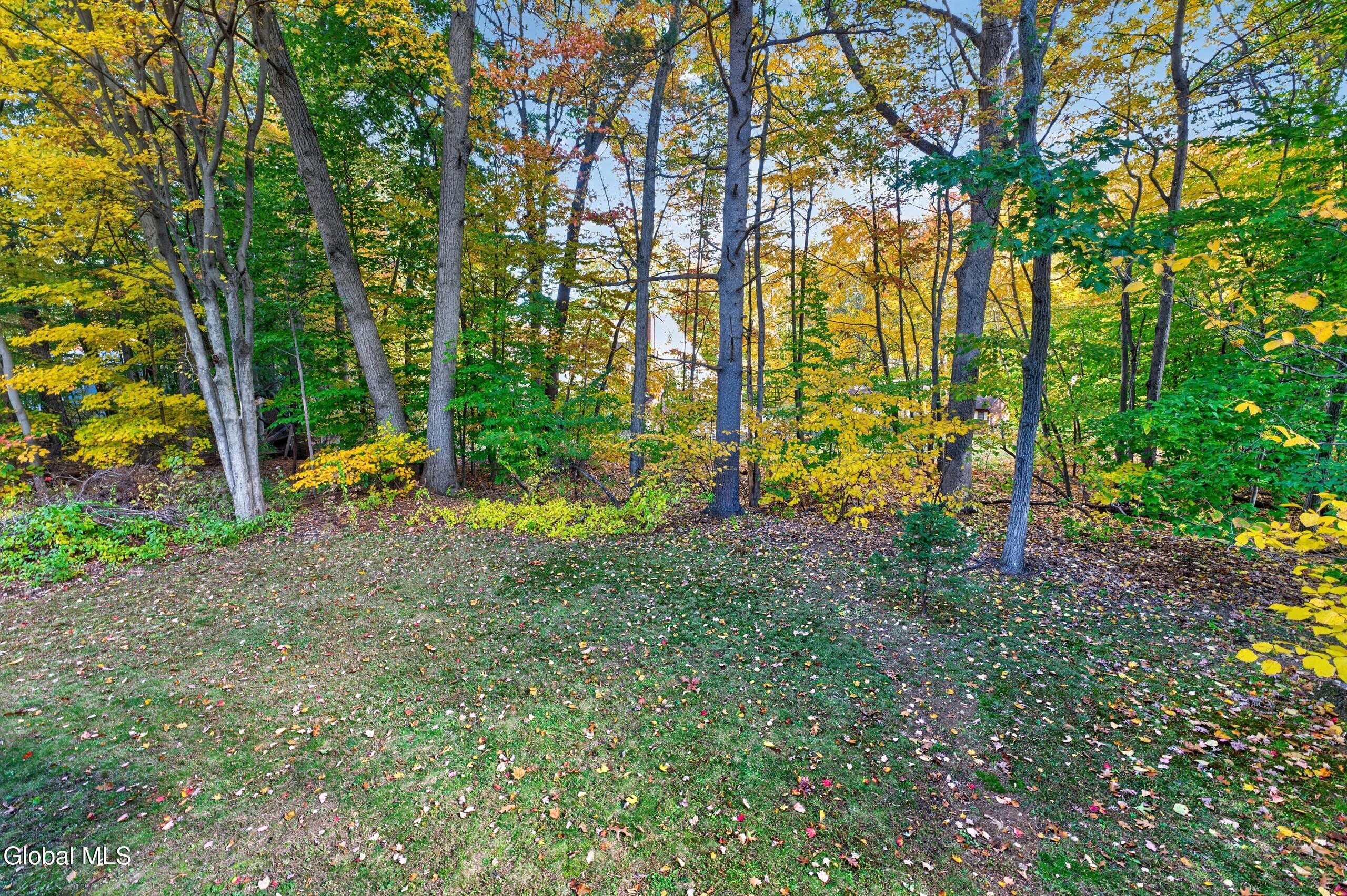 13 Rolling Brook Drive Clifton Park NY 12065