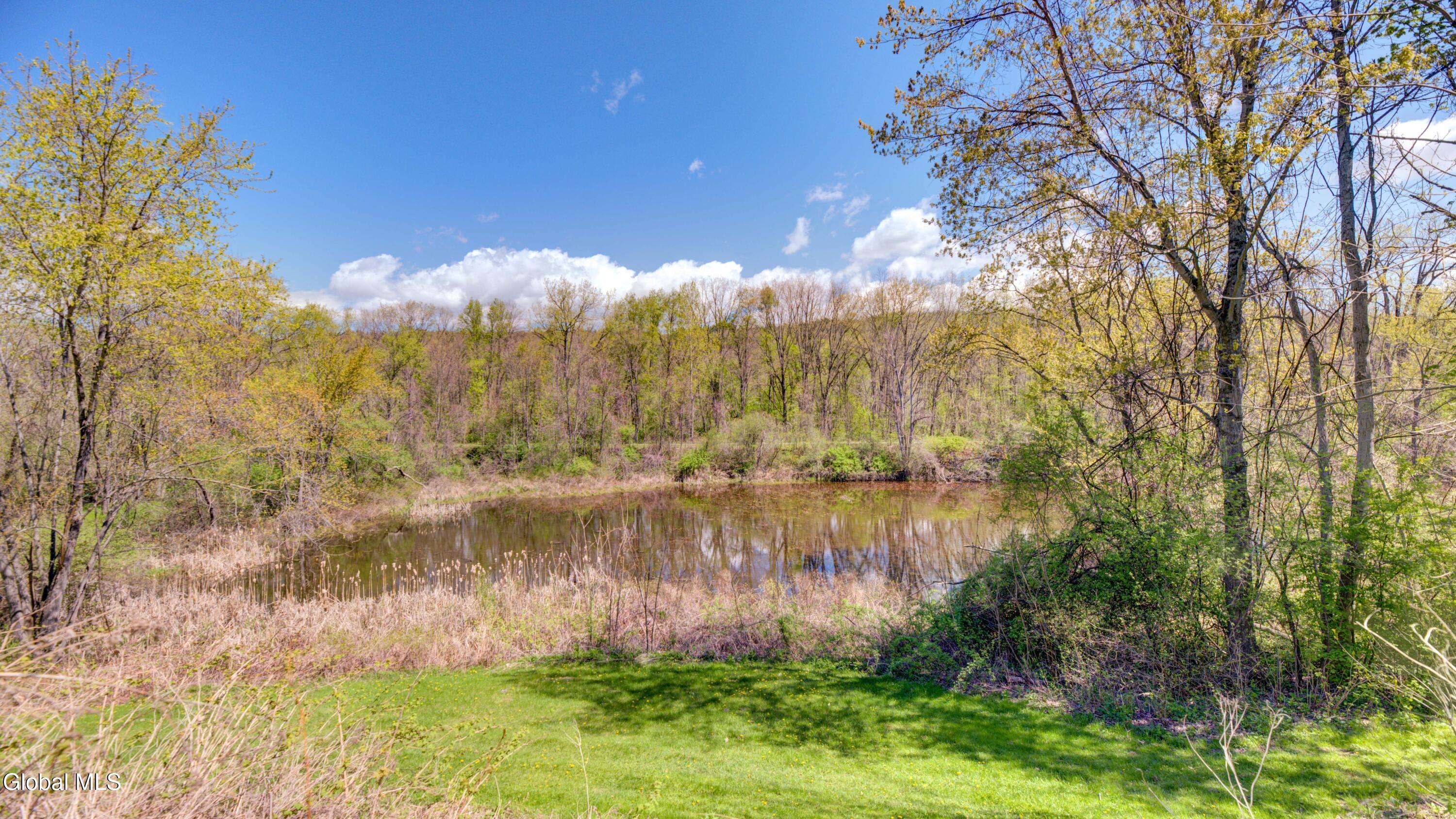 180 State Highway 5s Pattersonville NY 12137